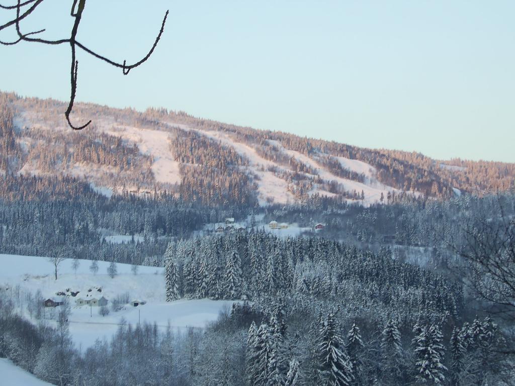 Sogn Gjestegard Svarstad  Kamer foto