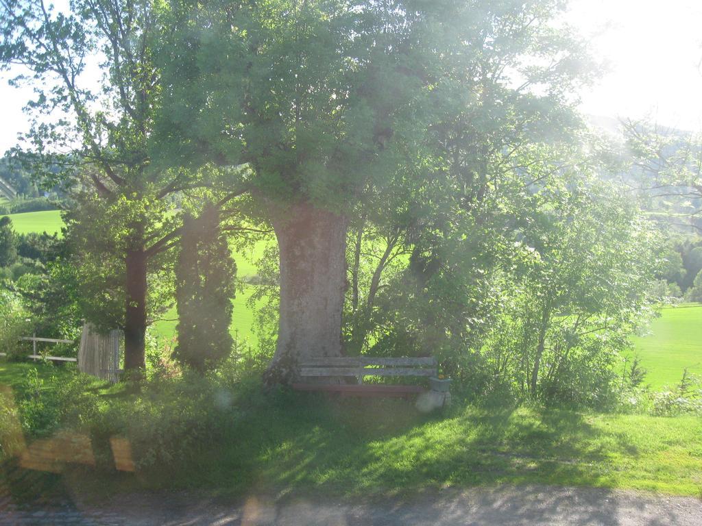 Sogn Gjestegard Svarstad  Kamer foto